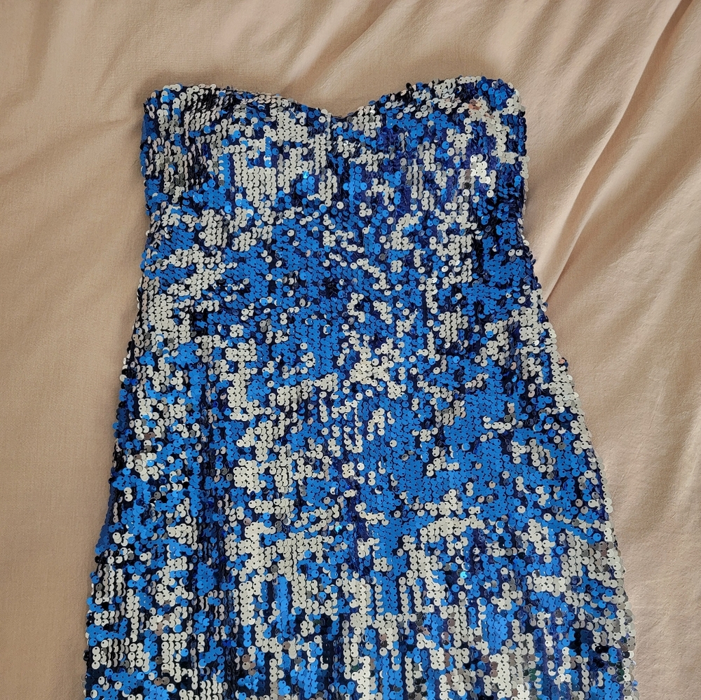 Strapless Sequin Dress
